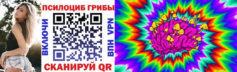 Галлюциногенные грибы GOLDEN TEACHER где можно купить Бежецк